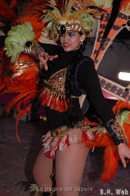 Carnevale 2010 W (33).JPG